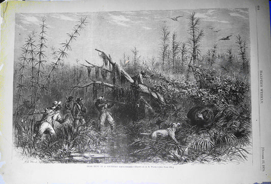 [African American] Bear Hunt in a Southern Cane-Brake, by A. R. Waud. H.W., 1870