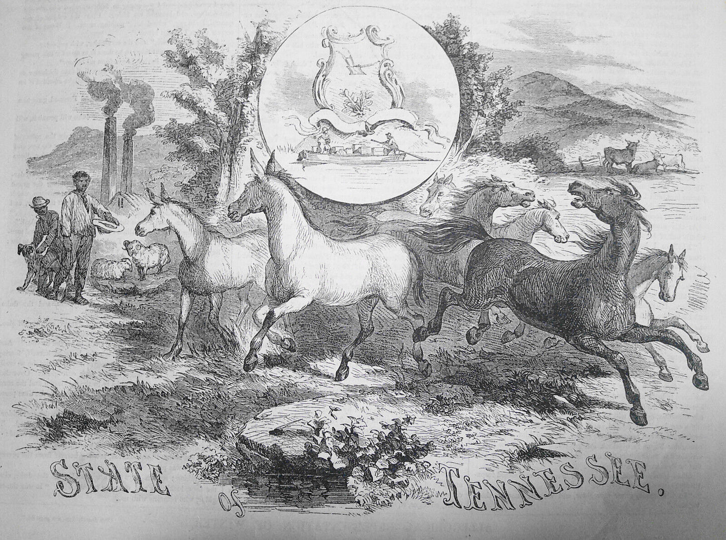 Ballou's Pictorial, February 14, 1857. Rare and Curious Birds; Tennessee; etc