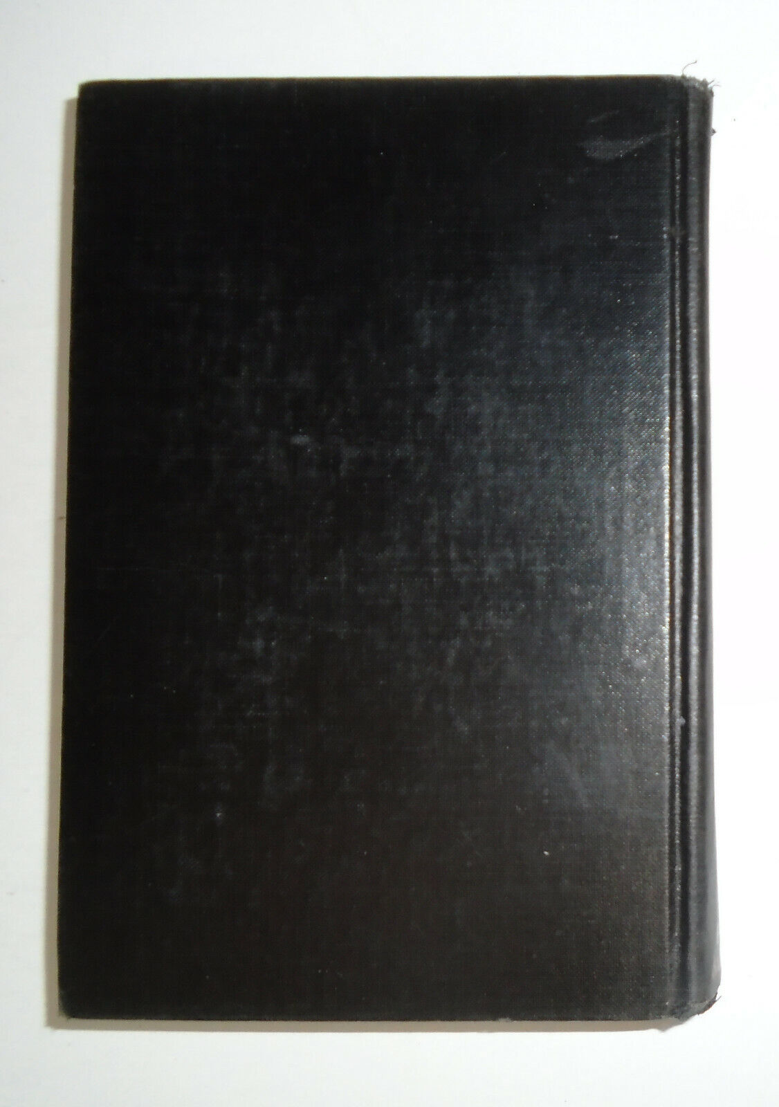 The Forbidden Tree, by Elizabeth Moorhead / First Edition / 1933