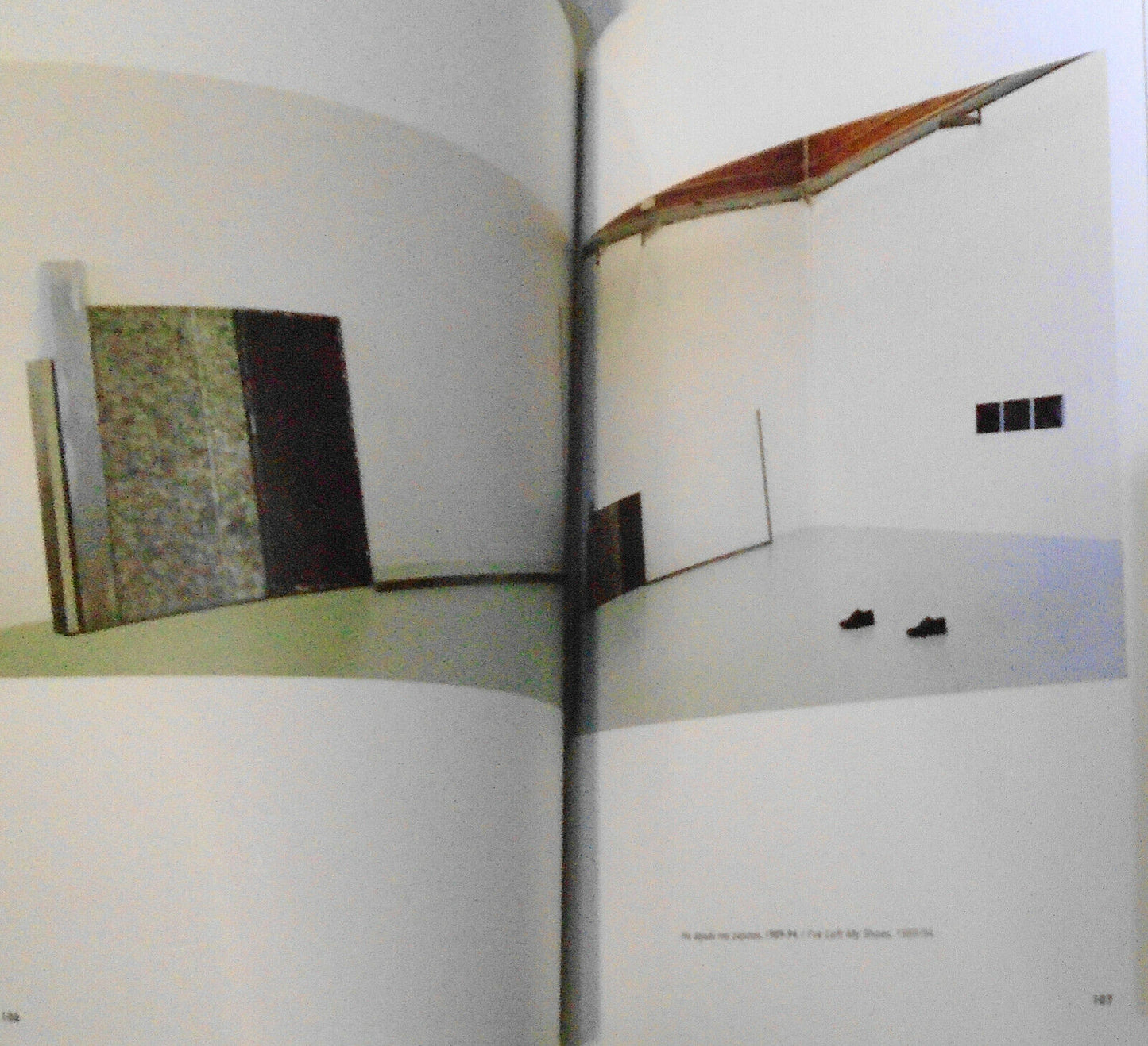 Fernando Sinaga - [editor y textos] Fernando Castro Florez. 2005