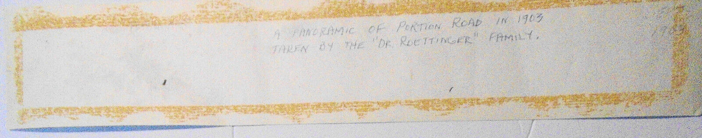 1903 Ronkonkoma Long Island New York photo - Portion Road, panoramic view.