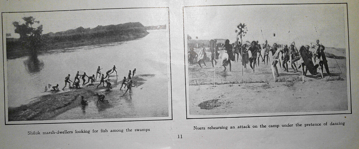 Shulik & Nuer - Man-Cranes Roosevelt will see - Harper's Weekly, 1900 original