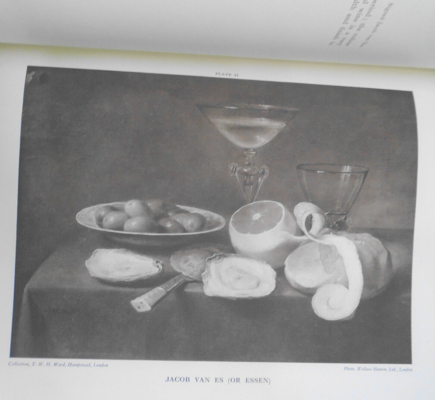 1928 Dutch & Flemish Fruit & Flower Painters of  17th & 18th Centuries - 1st ed