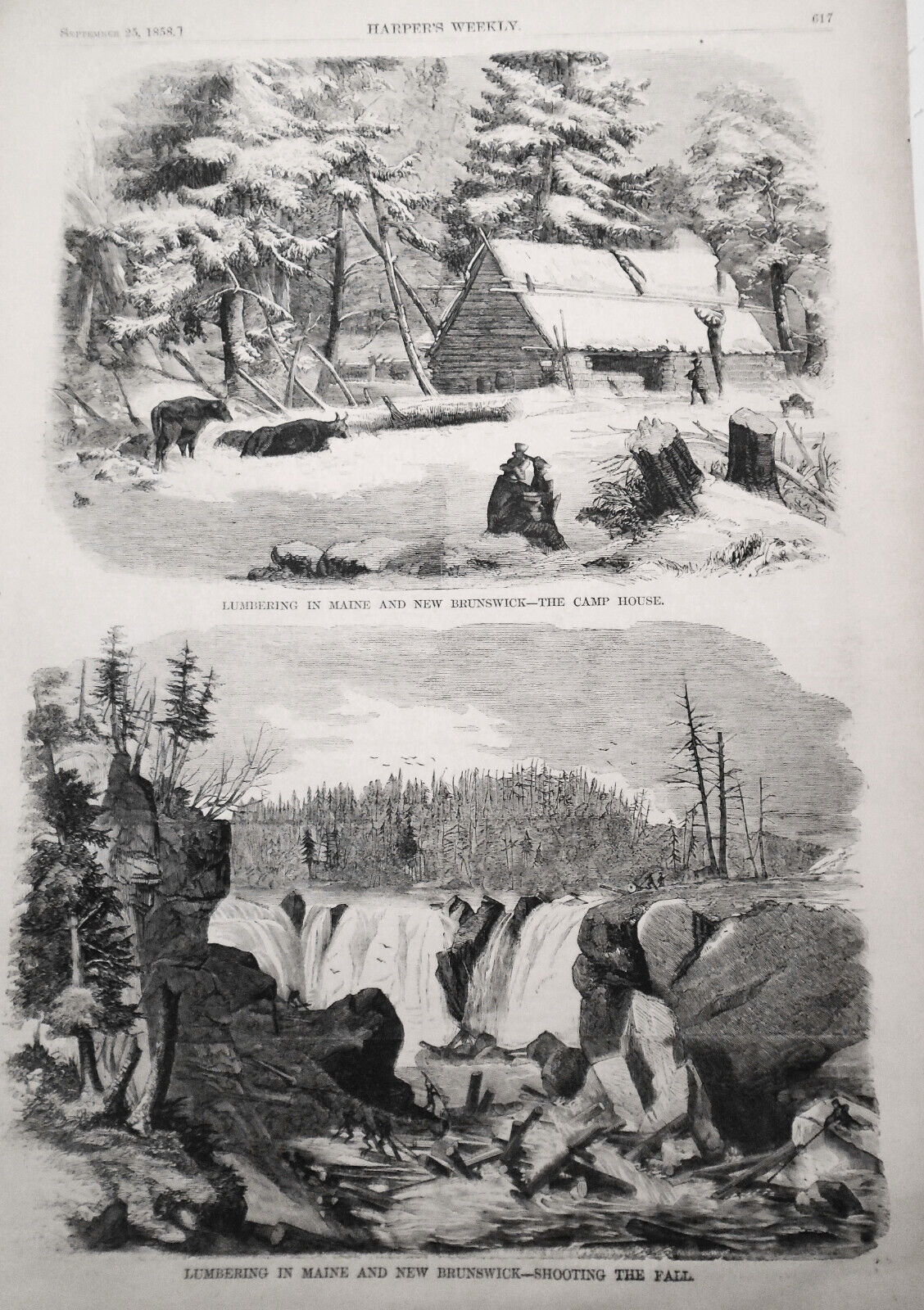 Lumbering in Maine, and New Brunswick - Harper's Weekly 1858 - 3 prints & story