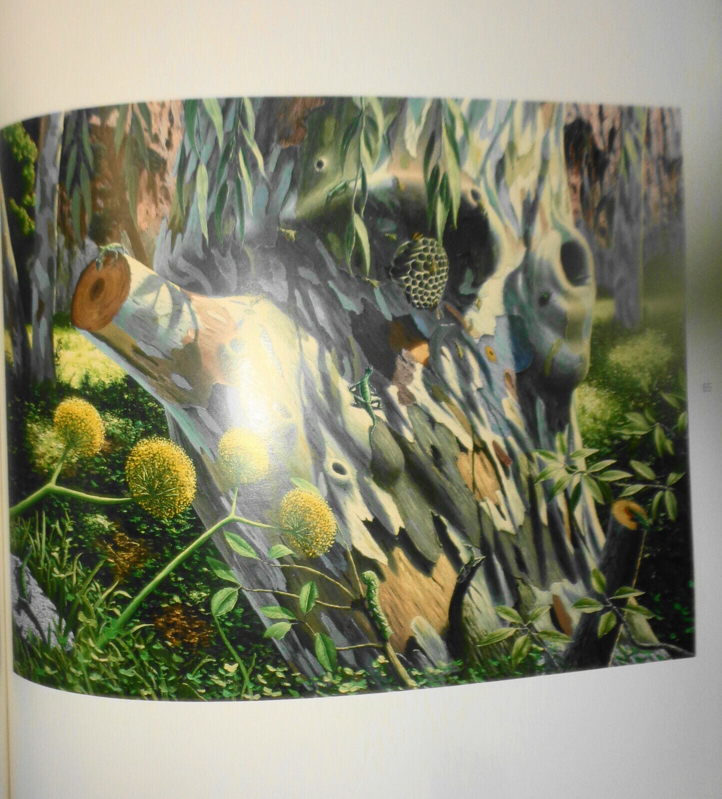 Fulvio Di Piazza: CLOROFILLA. Mantua, Bonelli Arte Contemporanea, 2006 Hardcover