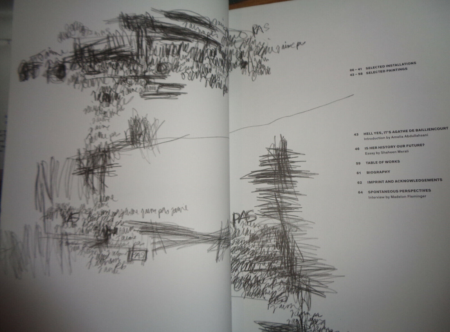 Agathe de Bailliencourt : Despite Territories - SIGNED - Berlin Revolver, 2010