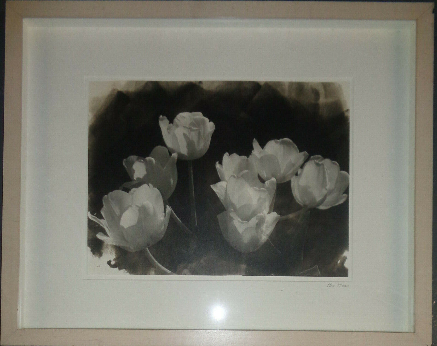 Bo Kass : White Tulips - Signed Silver gelatin photograph; framed