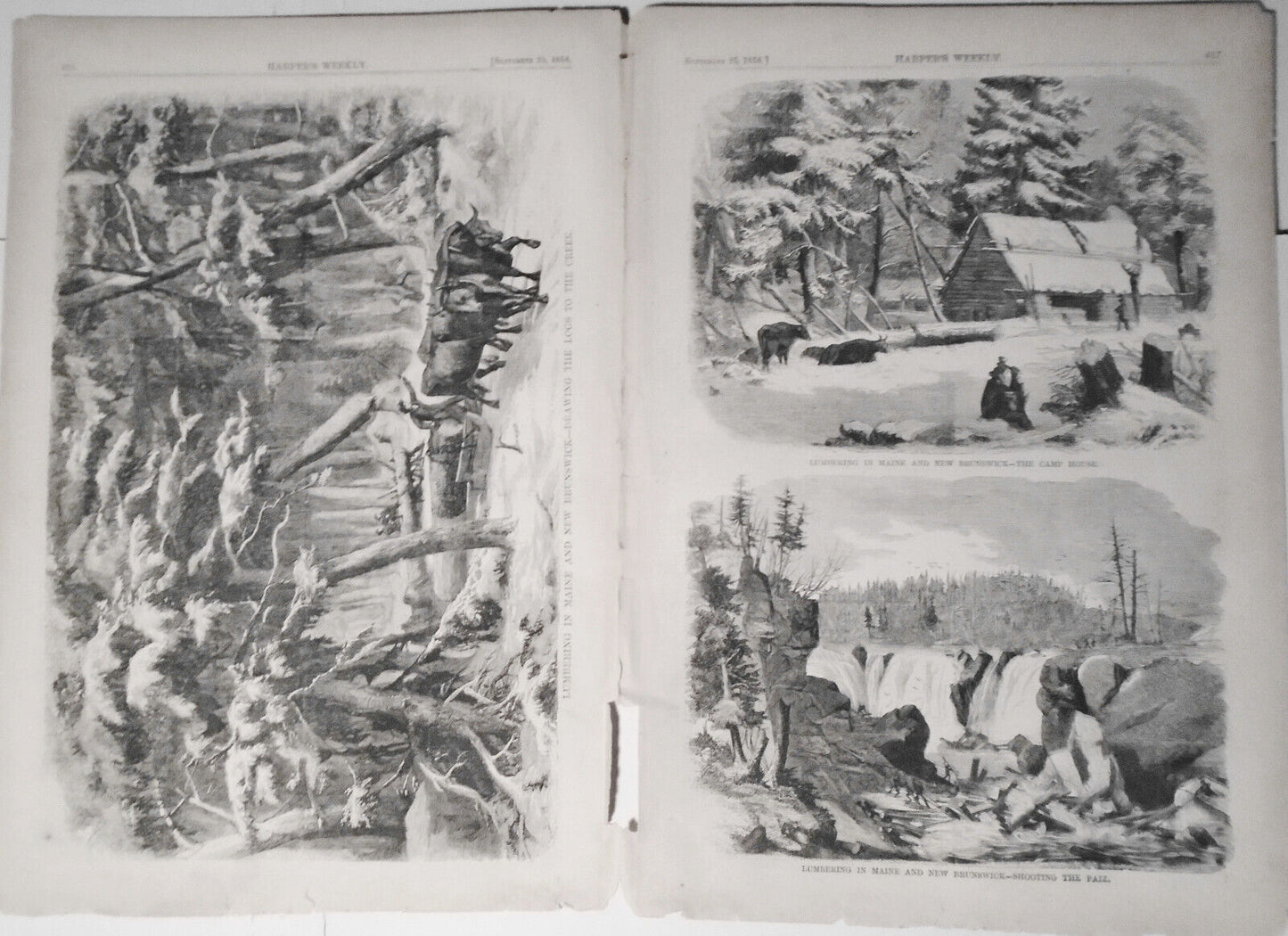 Lumbering in Maine, and New Brunswick - Harper's Weekly 1858 - 3 prints & story