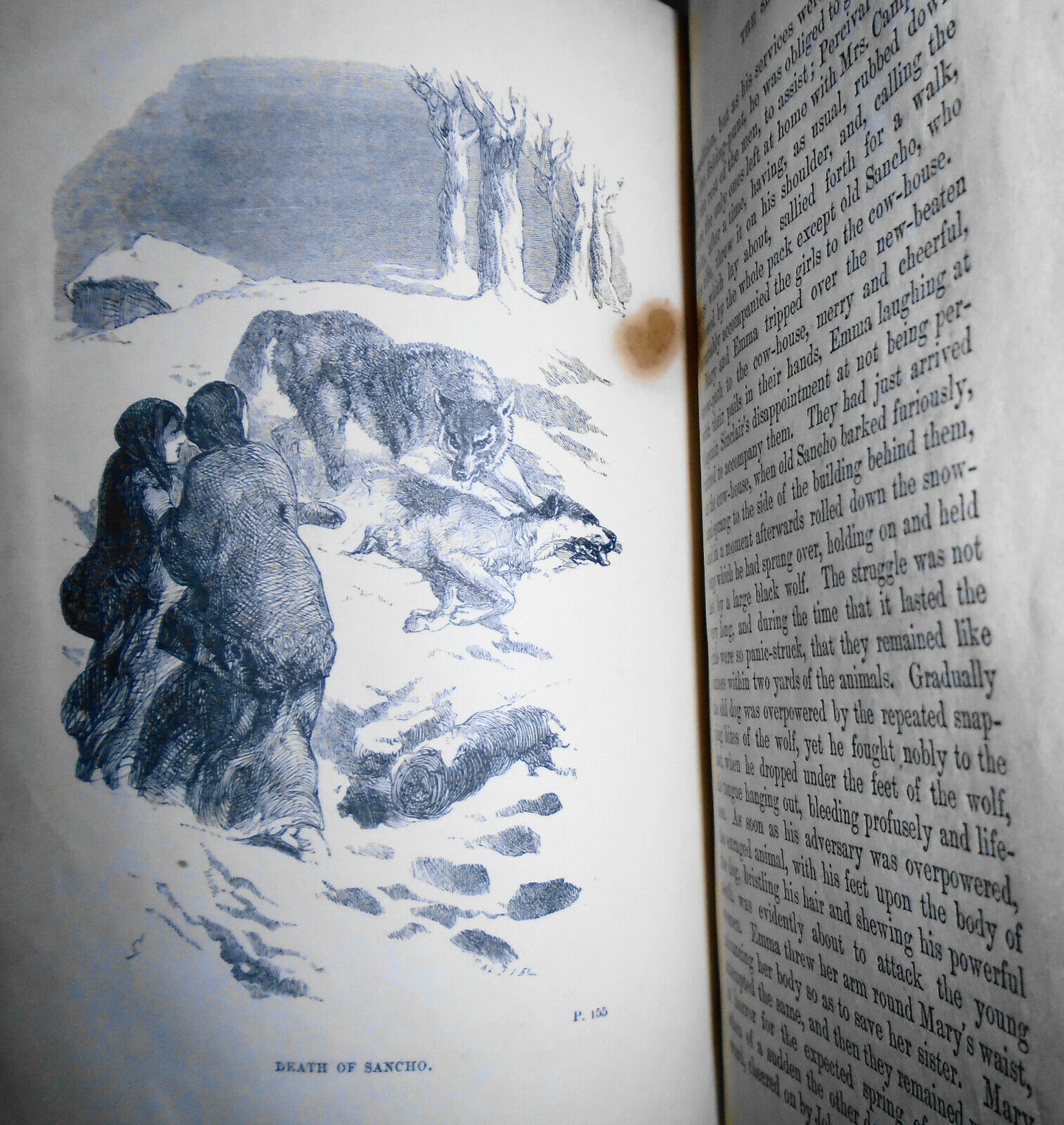 Captain Marryat : The settlers in Canada : written for young people - 1860