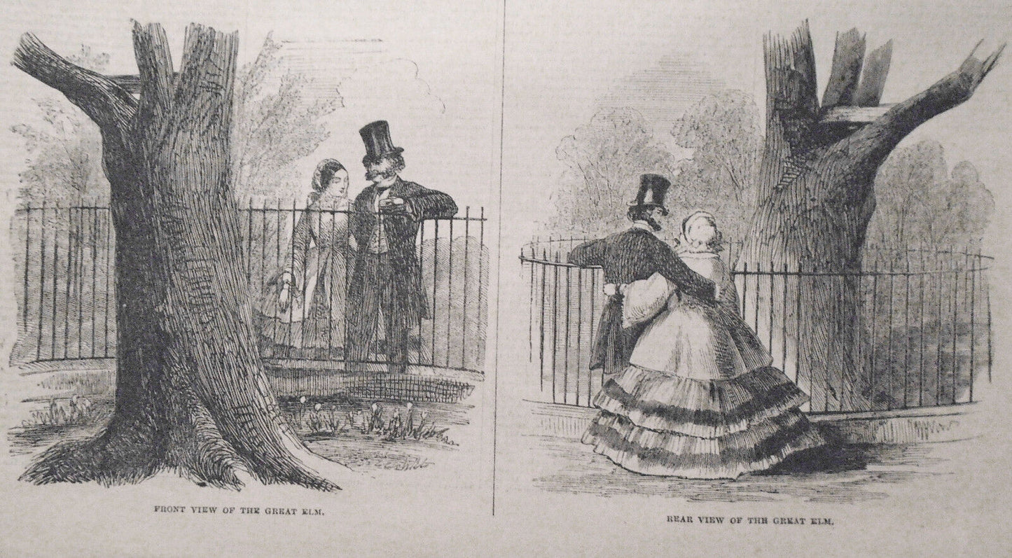The Boston Common by Winslow Homer. Harper's Weekly, May 22, 1858 Life in Boston