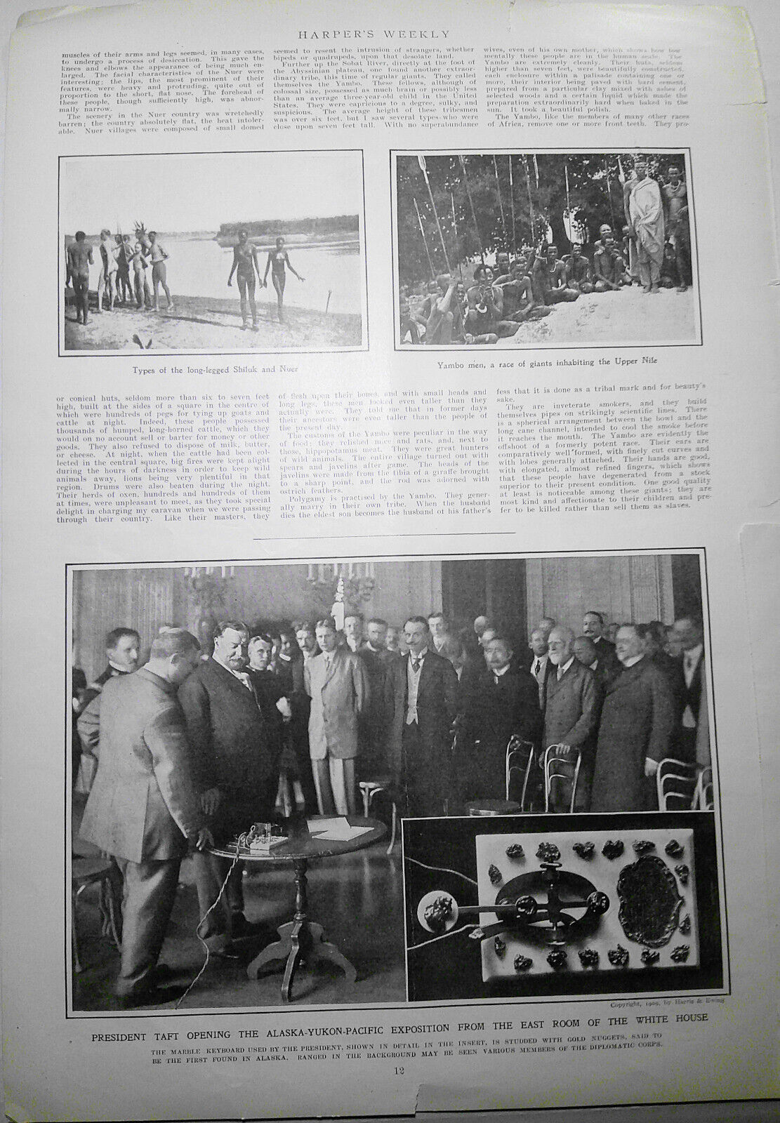 Shulik & Nuer - Man-Cranes Roosevelt will see - Harper's Weekly, 1900 original