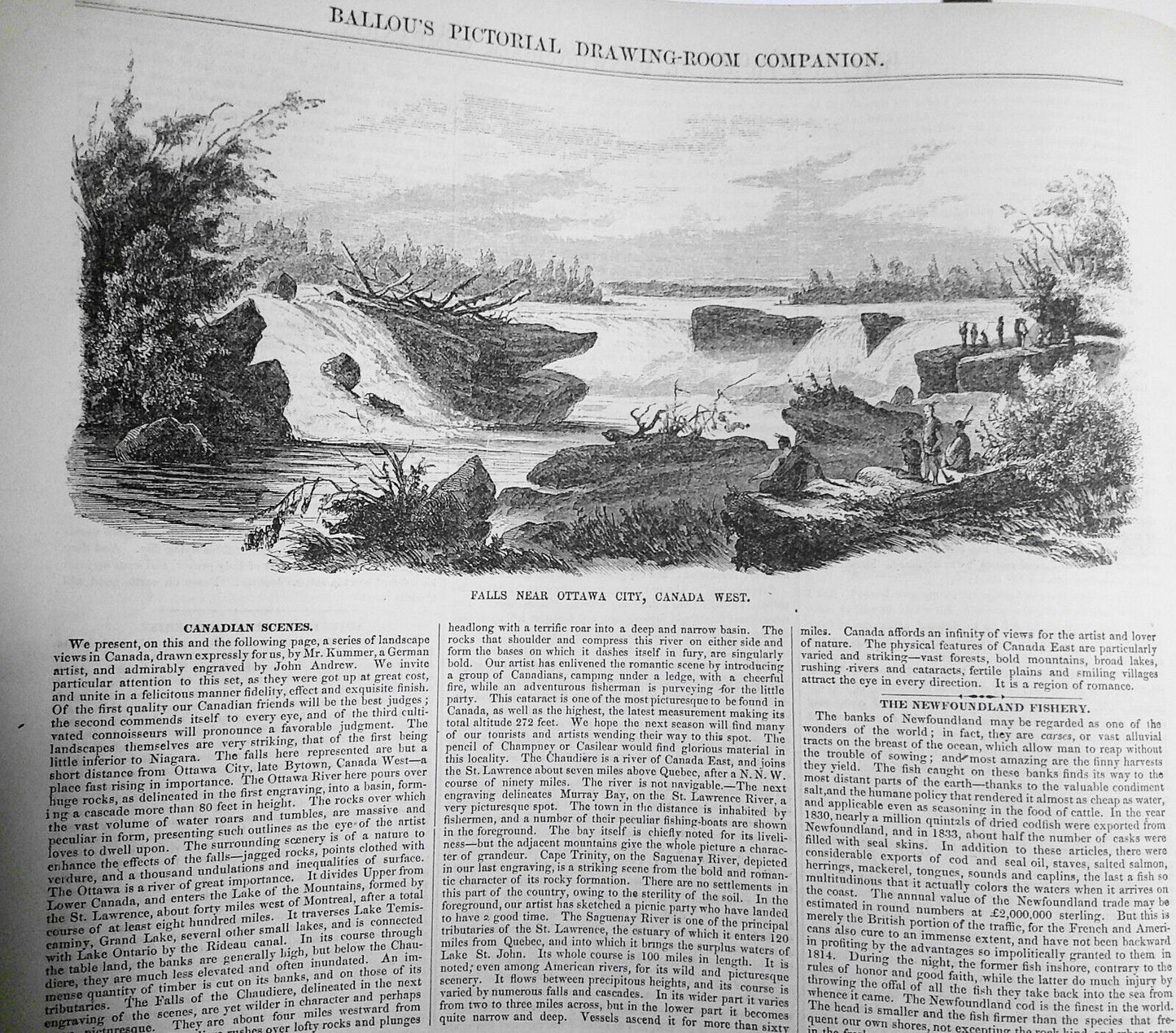 Ballou's Pictorial, February 14, 1857. Rare and Curious Birds; Tennessee; etc