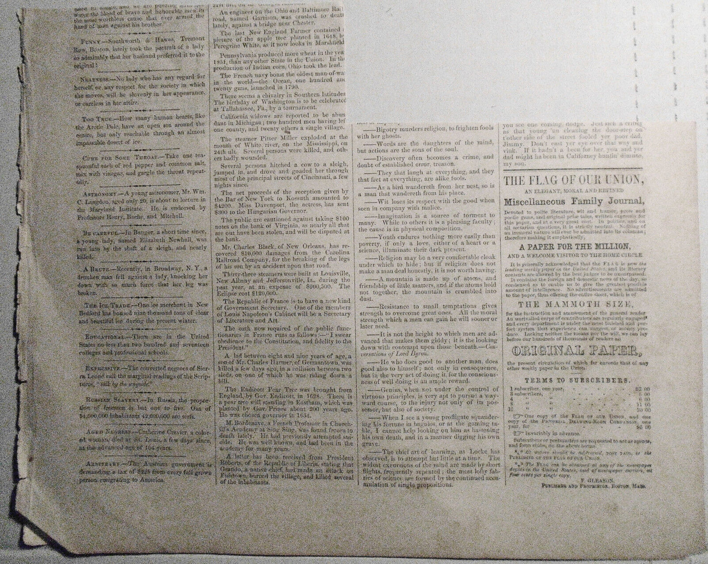 View At The Falls Of St. Johns River, New Brunswick. Gleason's Pictorial, 1852