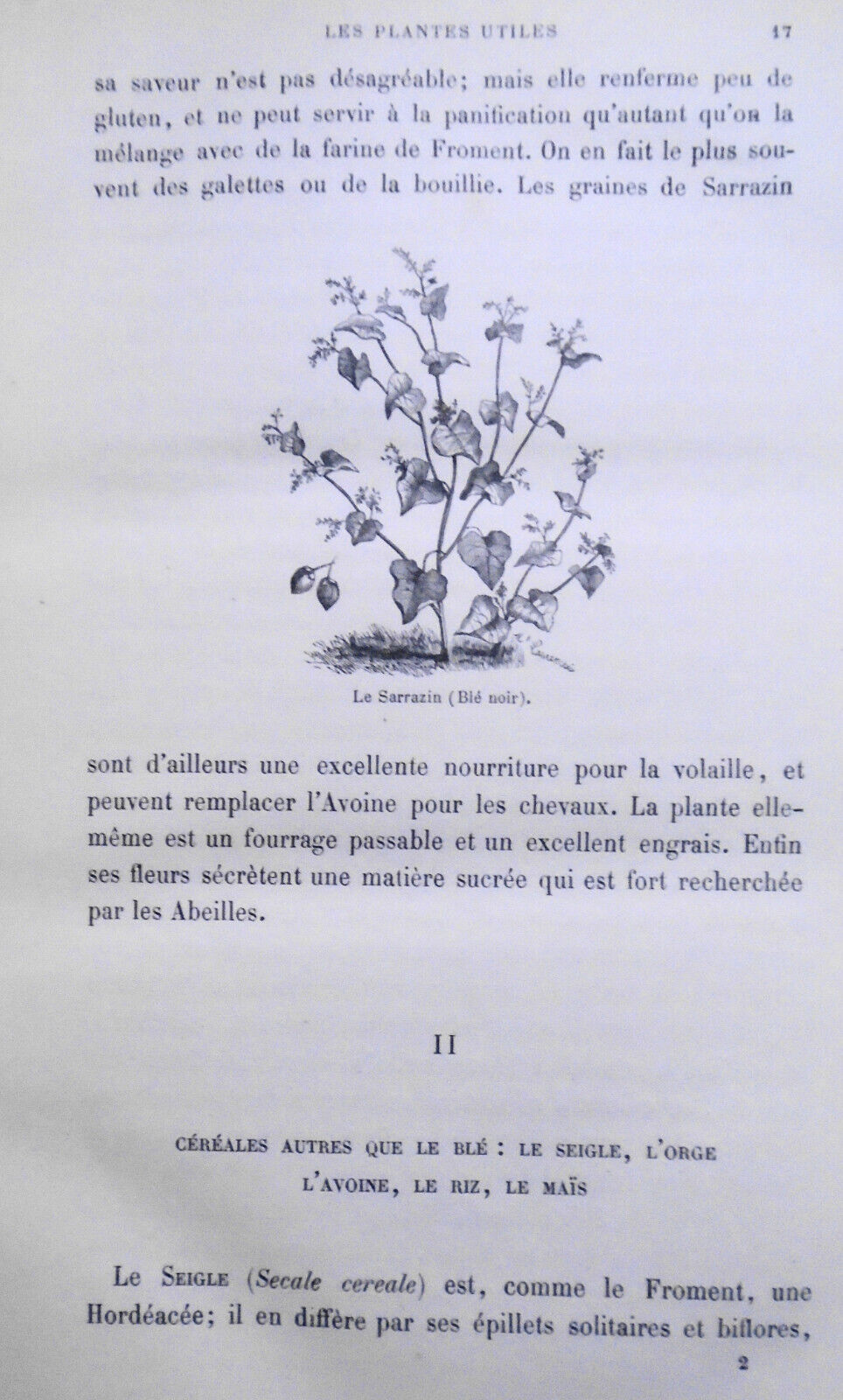 Les Plantes Utiles, by Arthur Mangin. 1886.