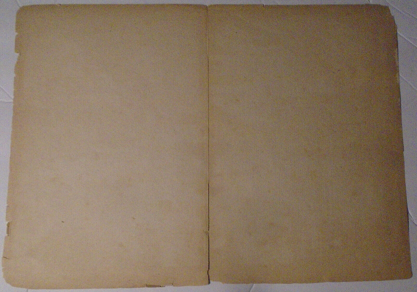 Antique Japanese print : Flower Beds