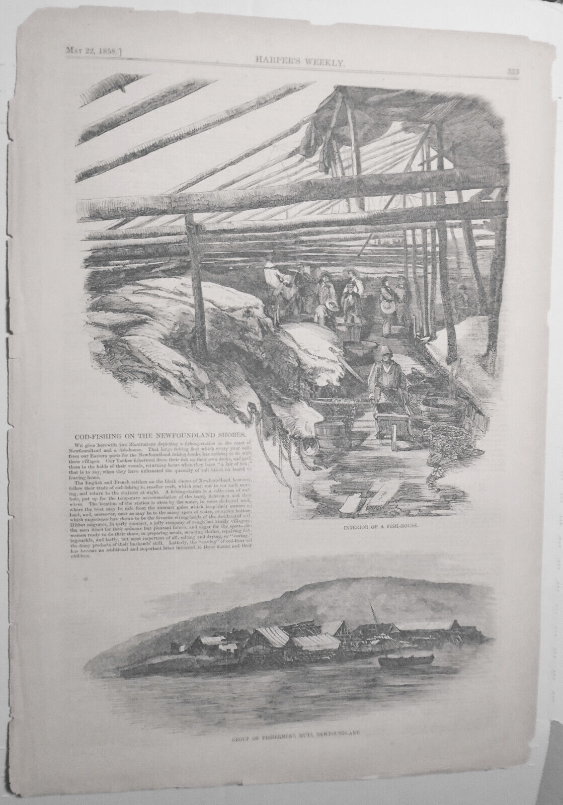 Cod-fishing on the Newfoundland Shores - Harper's Weekly May 22, 1858 - 2 Prints