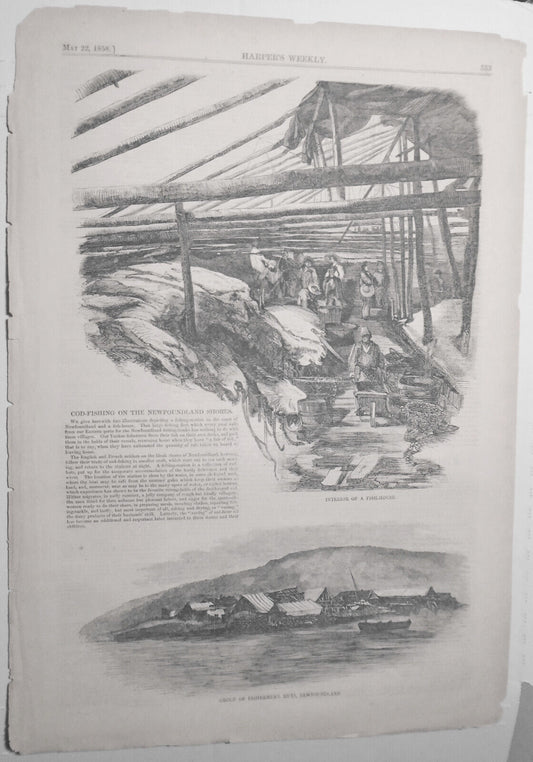 Cod-fishing on the Newfoundland Shores - Harper's Weekly May 22, 1858 - 2 Prints
