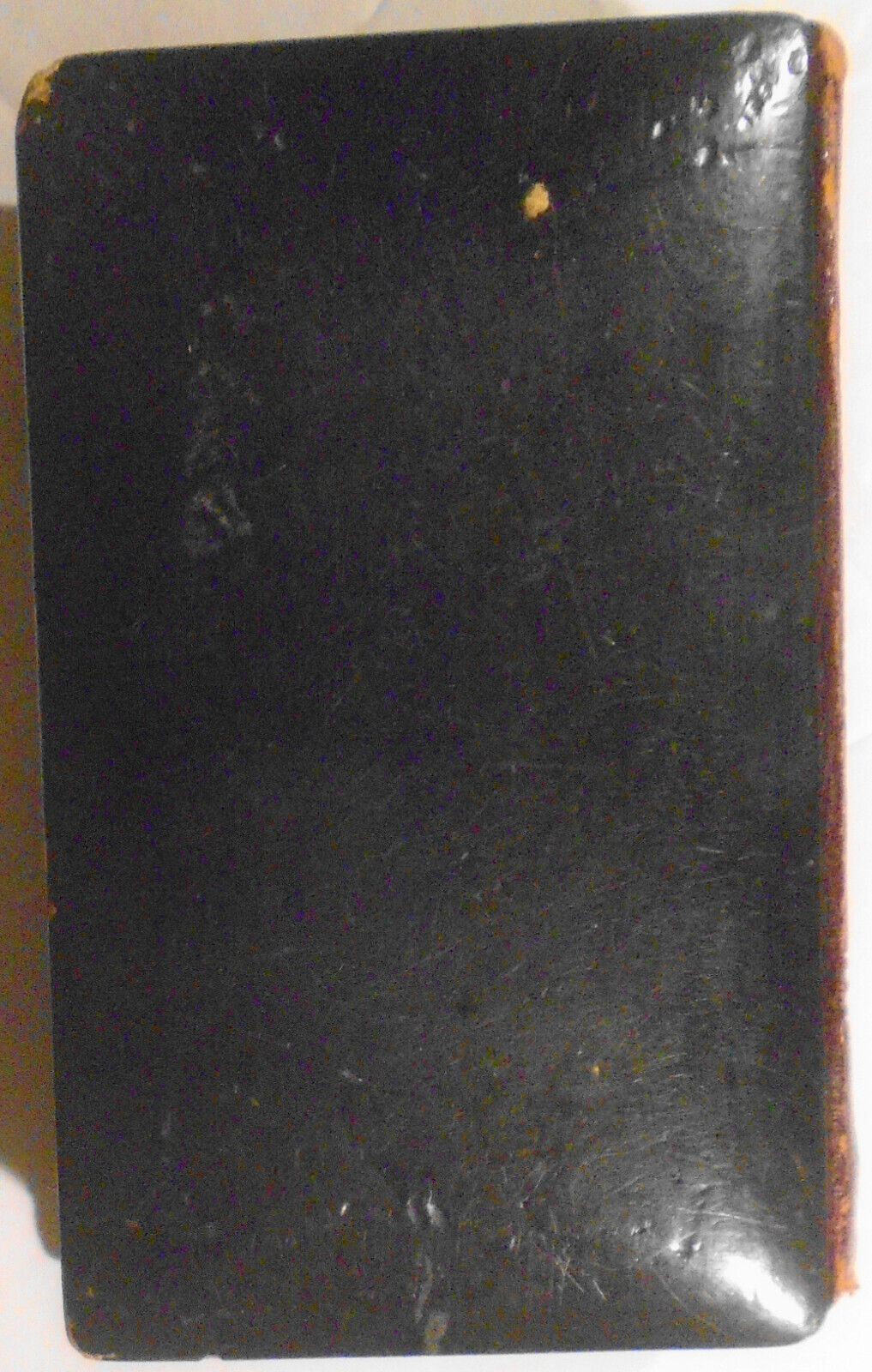 [Binding] Book of Common Prayer. ND [1882].