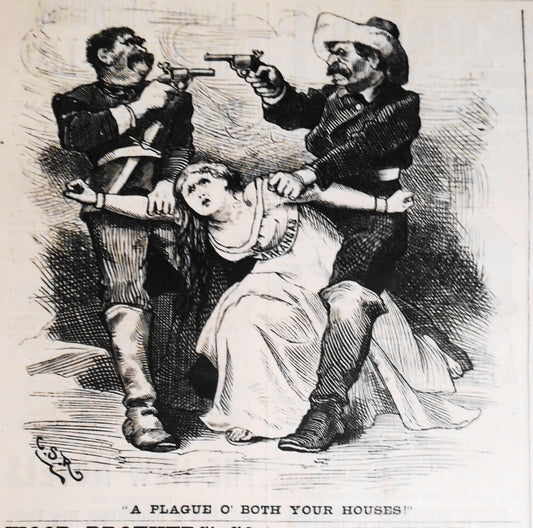 A Plague o' both your Houses - original cartoon in Harper's Weekly May 16, 1874