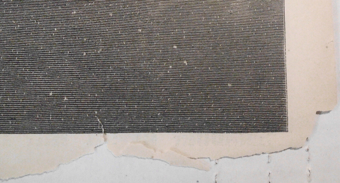 Taking A Pilot, Off Sandy Hook. Harper's Weekly February 10, 1877 ORIGINAL