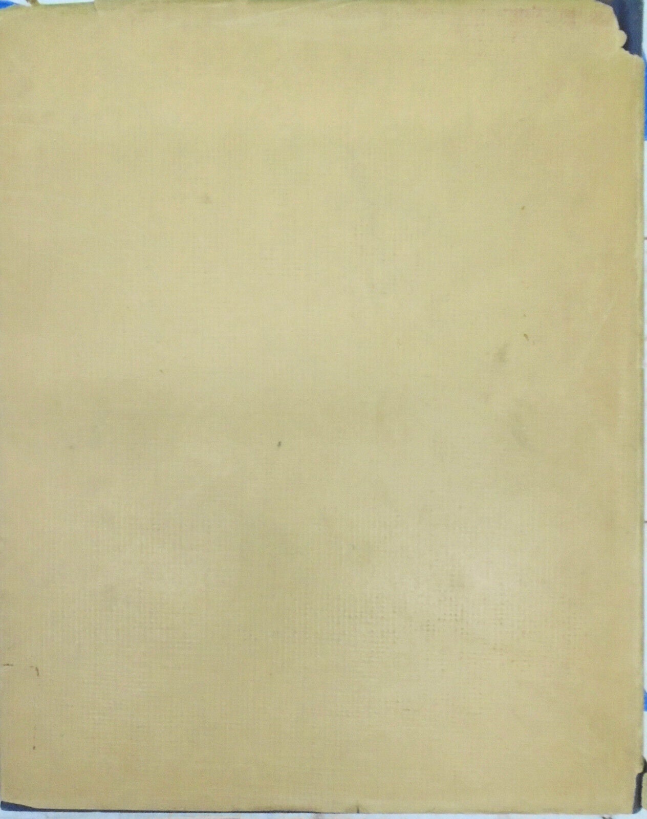 1928 Dutch & Flemish Fruit & Flower Painters of  17th & 18th Centuries - 1st ed