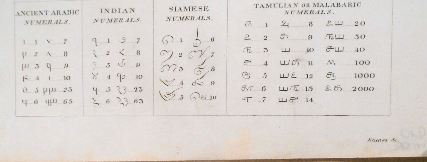 1832 Check. Character. Check and Pullicate Lay for Power Looms,  by John Duncan