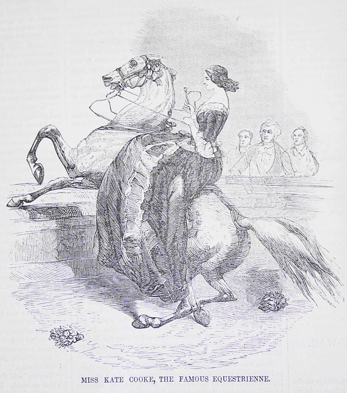 Miss Kate Cooke, the Famous Equestrienne - Ballou's Pictorial,  1857.