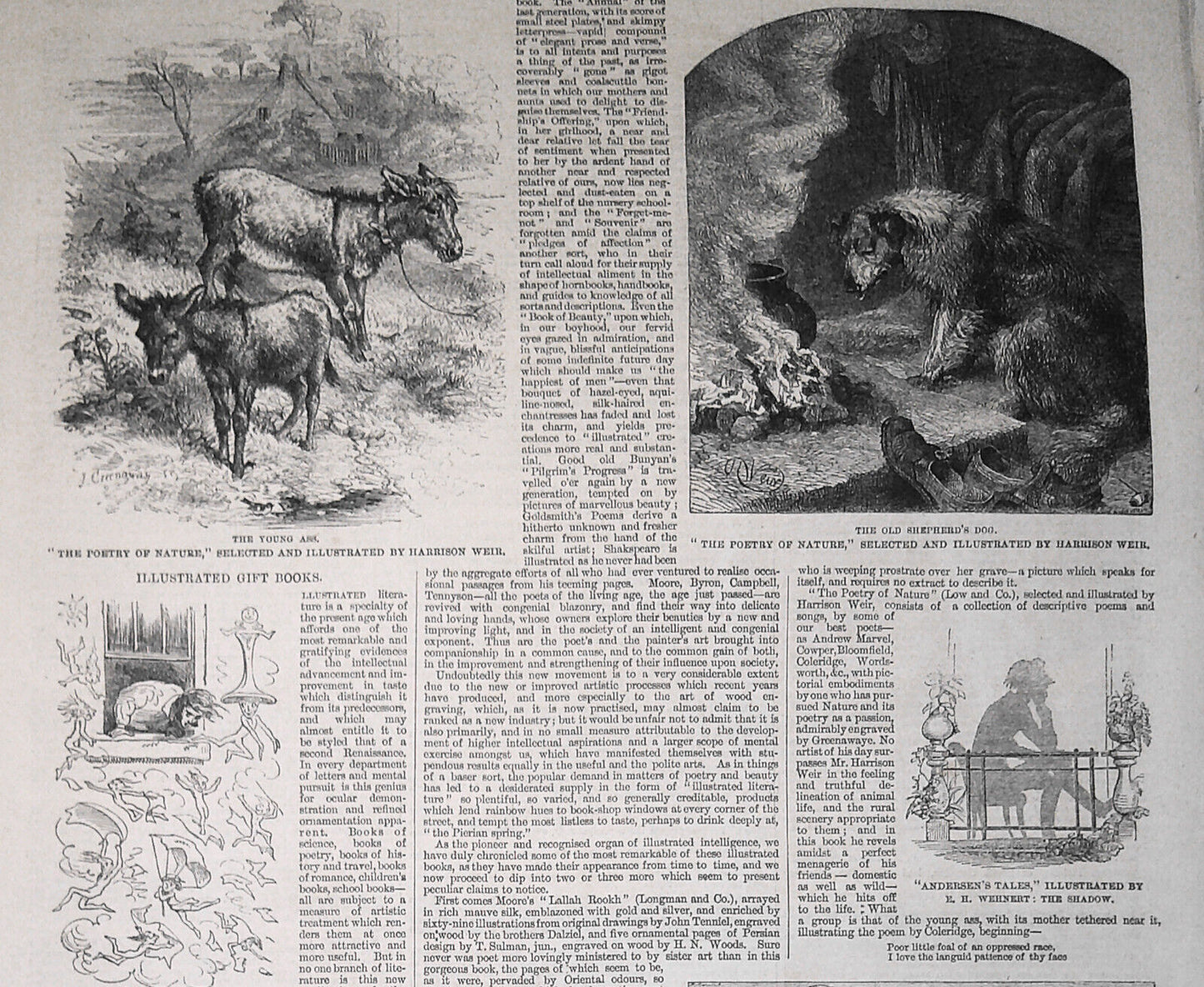 Illustrated Gift Books - Story & Prints from The Illustrated London News, 1861