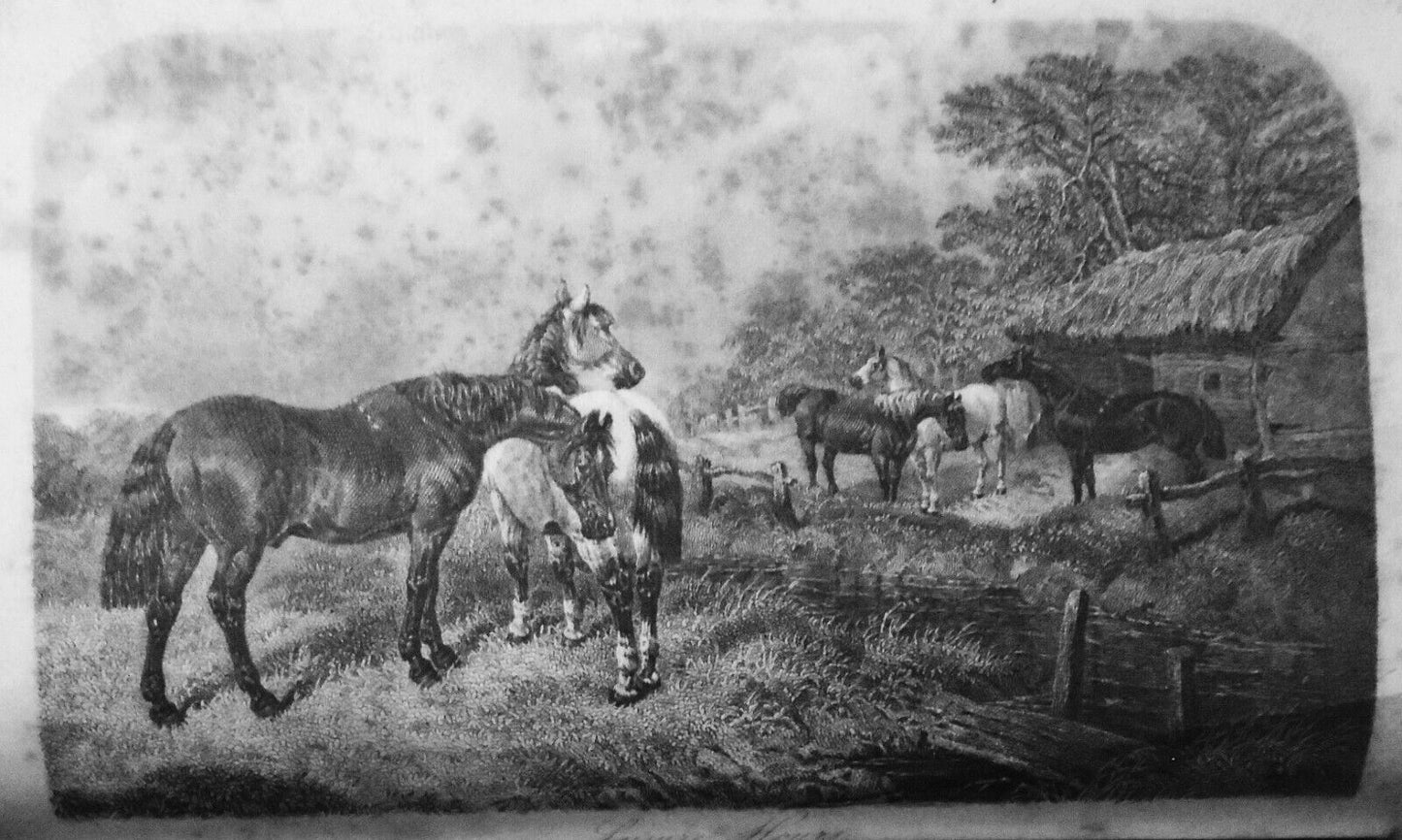 1862 [Horse racing]. The Post and the Paddock, by Henry Hall Dixon (The Druid).