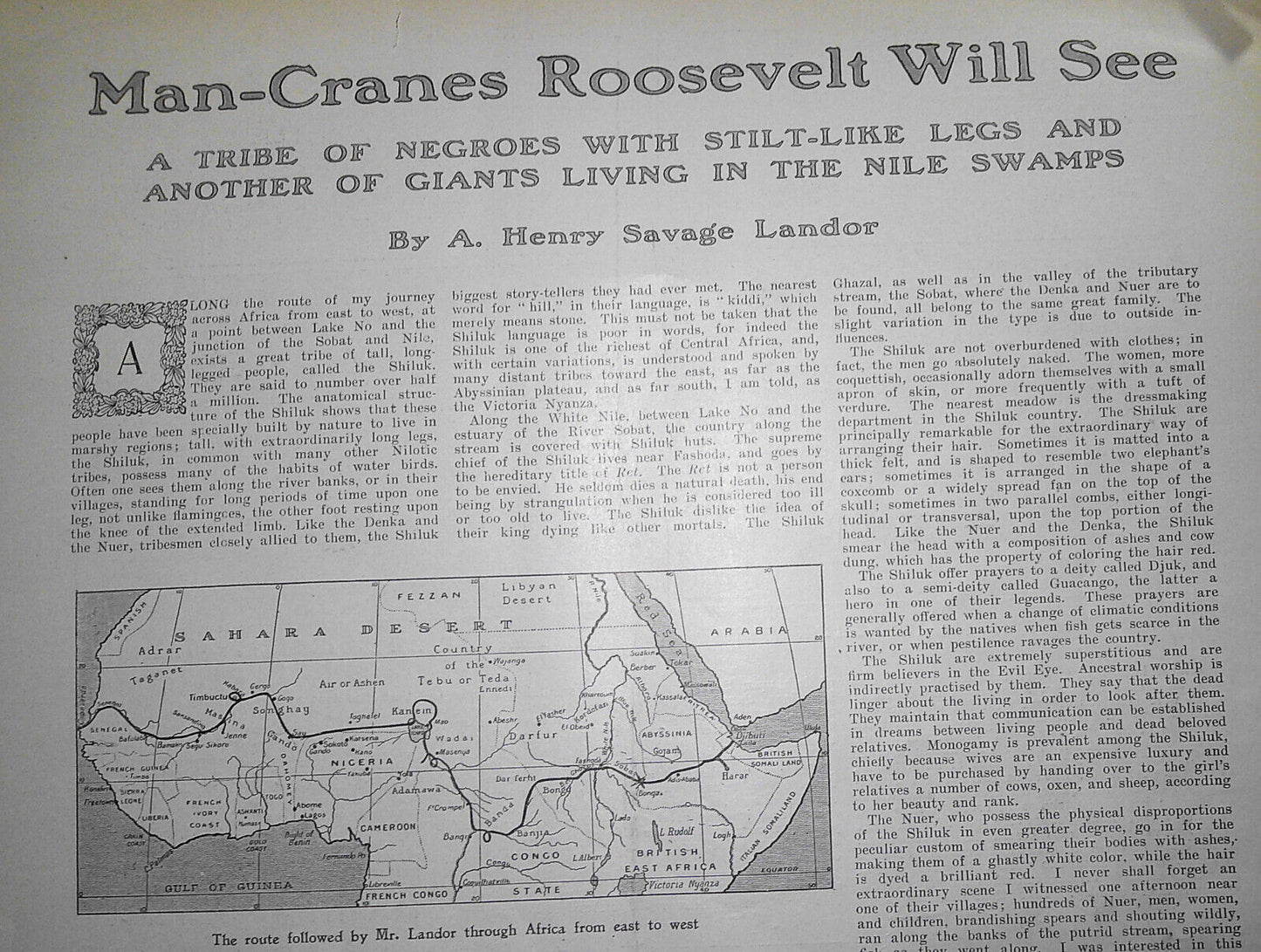 Shulik & Nuer - Man-Cranes Roosevelt will see - Harper's Weekly, 1900 original