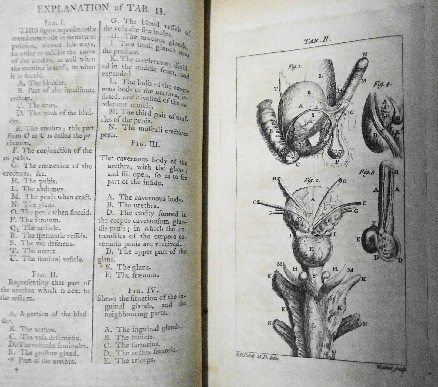 1774 A treatise on the venereal disease in three parts, by N D Falck