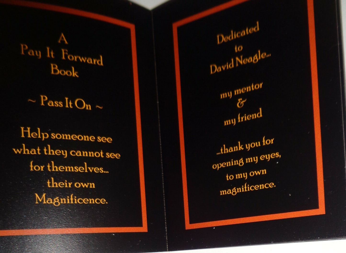 The Art Of Being Magnificent, by Diane Ward. 2007