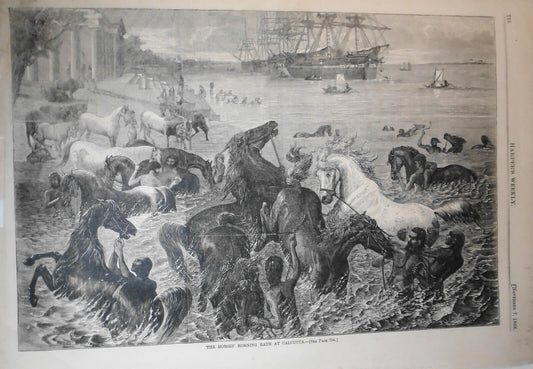 The Horses' Morning Bath at Calcutta -  Harper's Weekly, November 7, 1868 Print