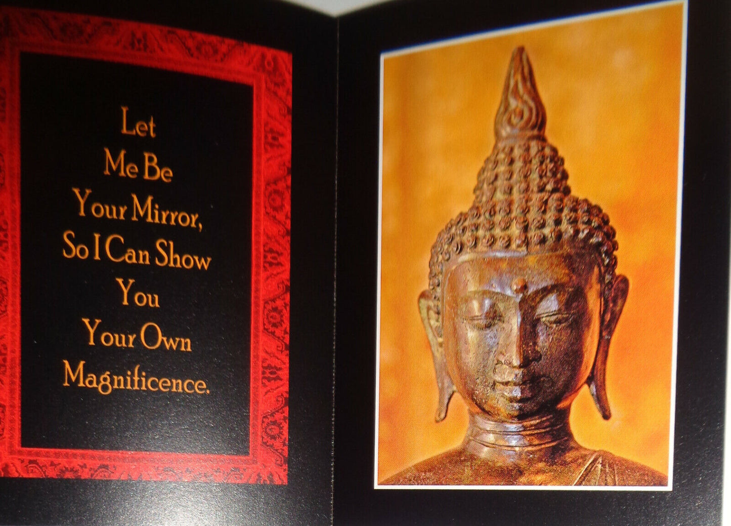 The Art Of Being Magnificent, by Diane Ward. 2007