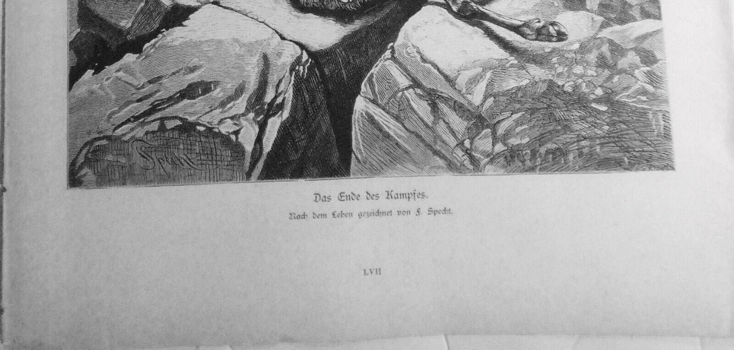 Das Ende des Kampfes, by  F. Specht   --  1882