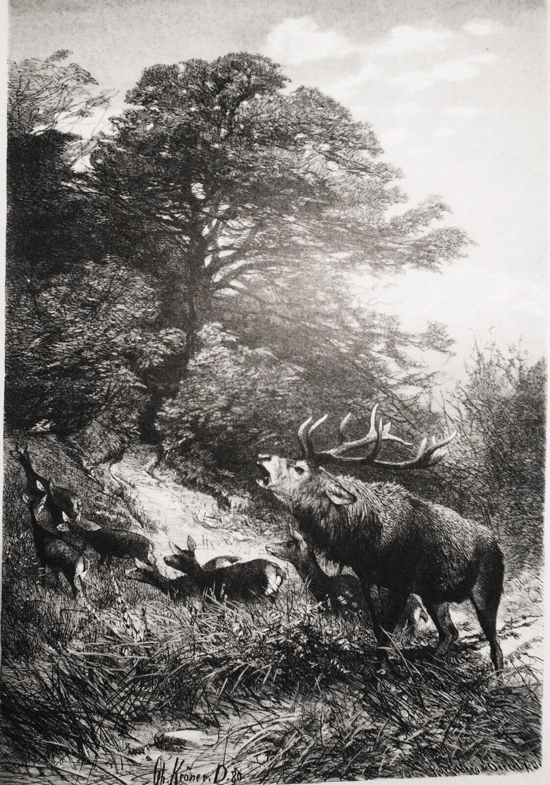 1882 Schreiender Hirsch, mit dem Rudel zu Holze ziehend - Chr. Kroner. Original