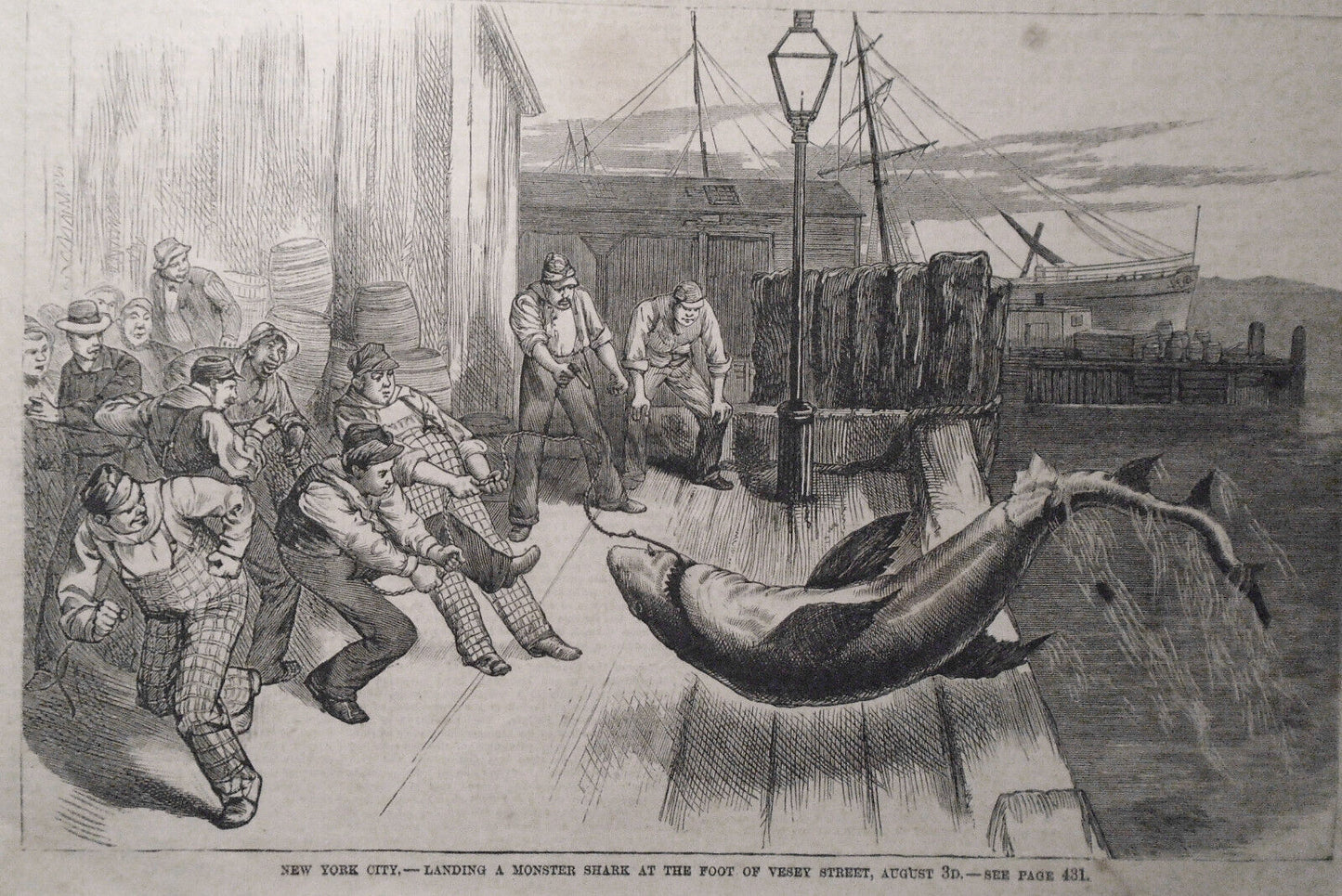 Construction By Negro Labor Of West Shore Railway; Monster Shark - Leslie's 1881