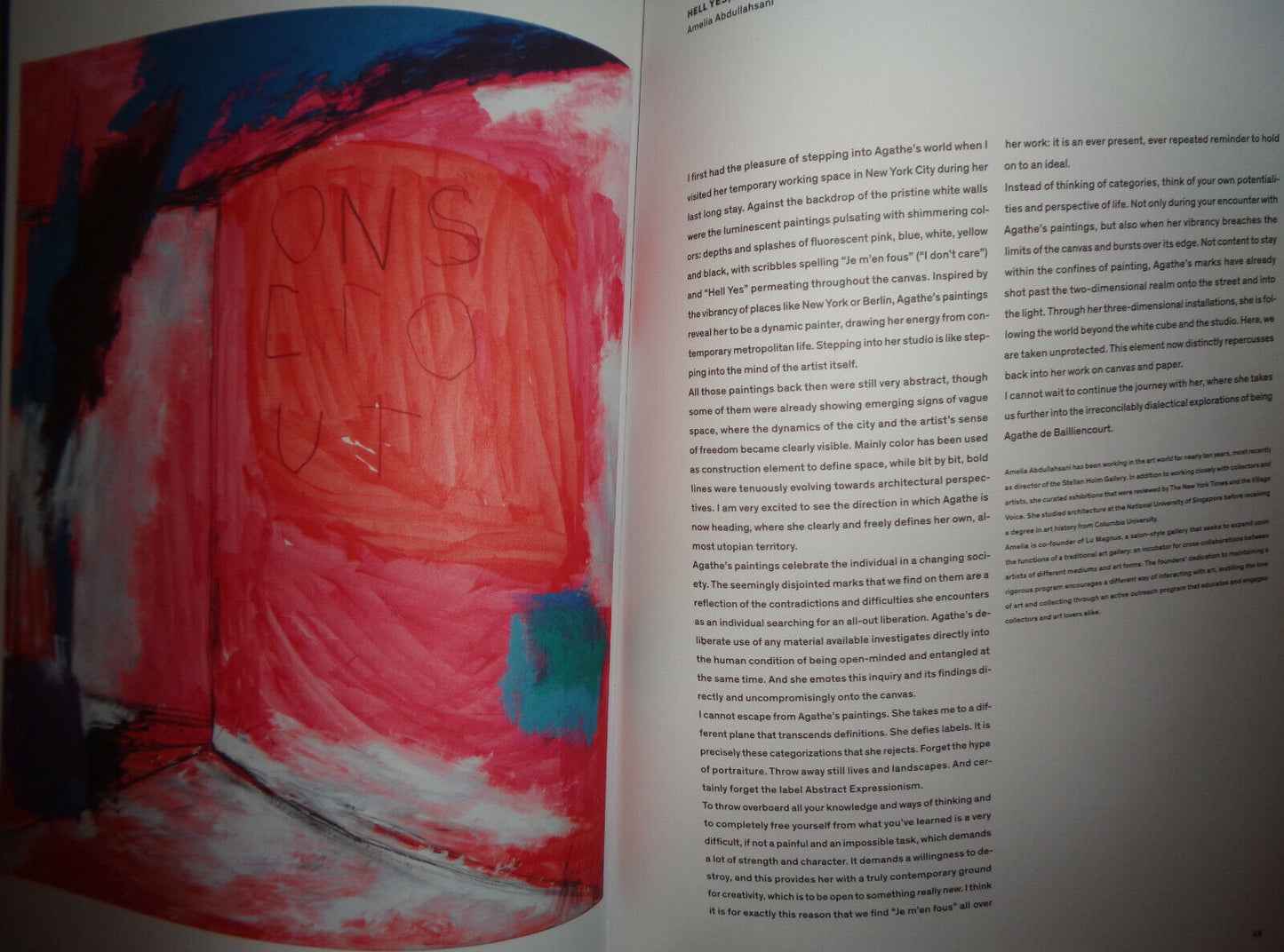 Agathe de Bailliencourt : Despite Territories - SIGNED - Berlin Revolver, 2010