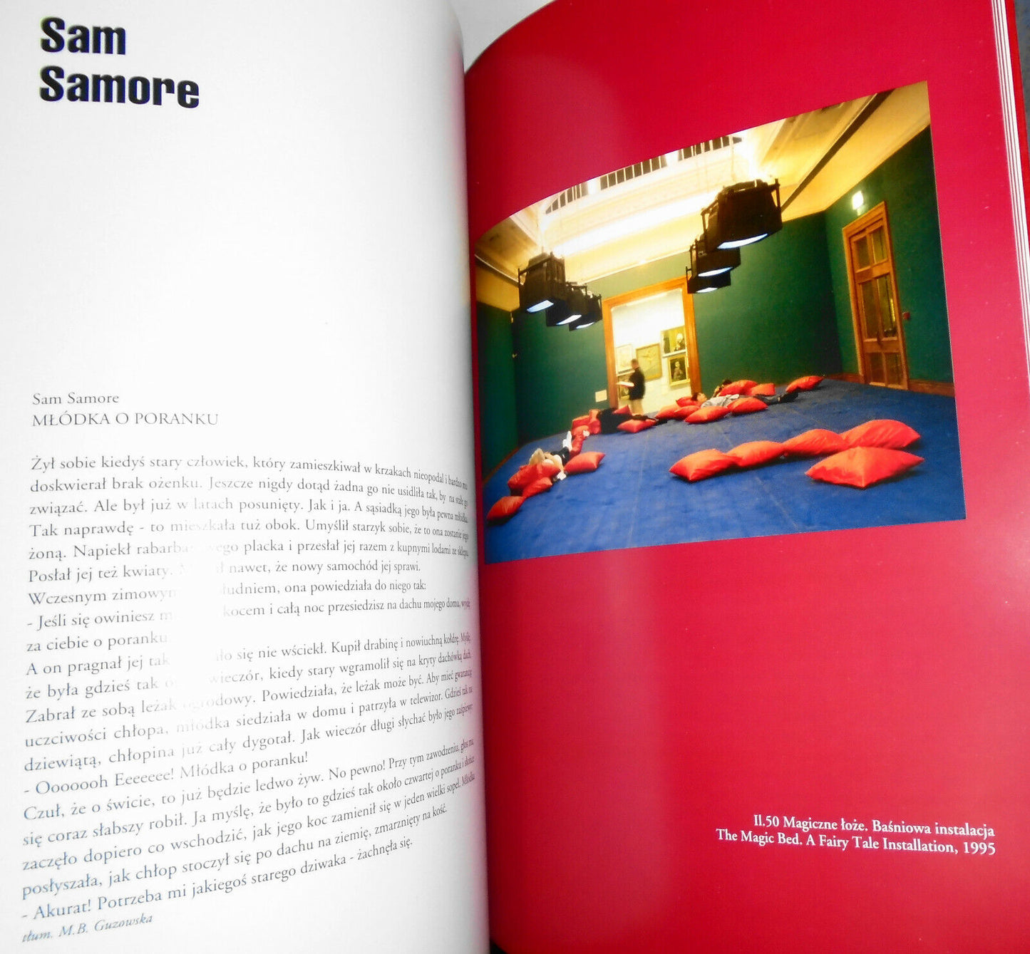 All You Need Is Love : Dan Asher, Alex Bag [...]. Centrum Sztuki 2000 Exhibition
