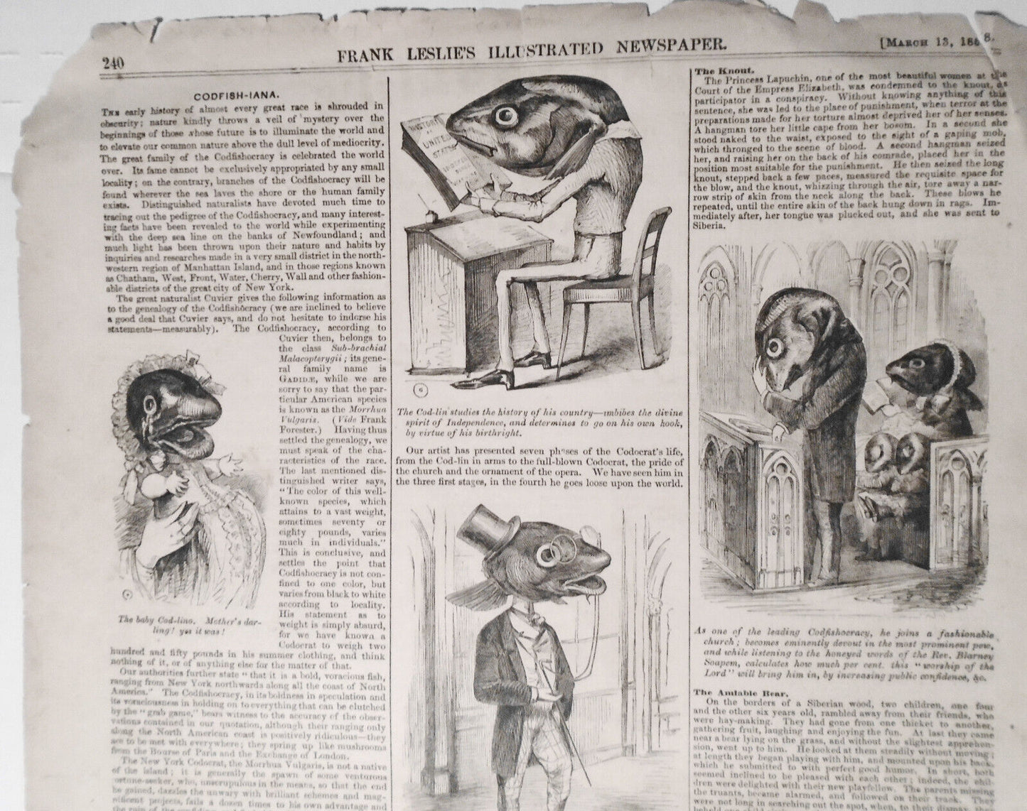 "Codfish-iana" - Frank Leslie's Illustrated Newspaper  March 13, 1858 - Original