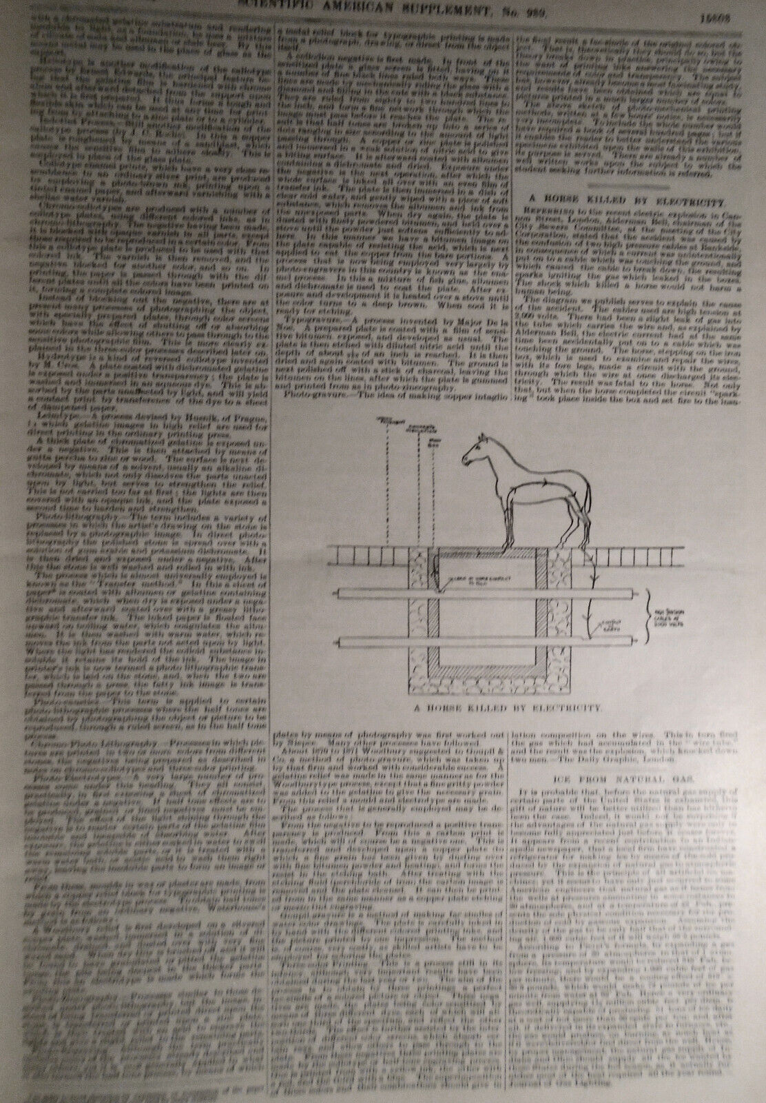 Scientific American Supplement Dec 15, 1894. Experiments with a falling cat, etc