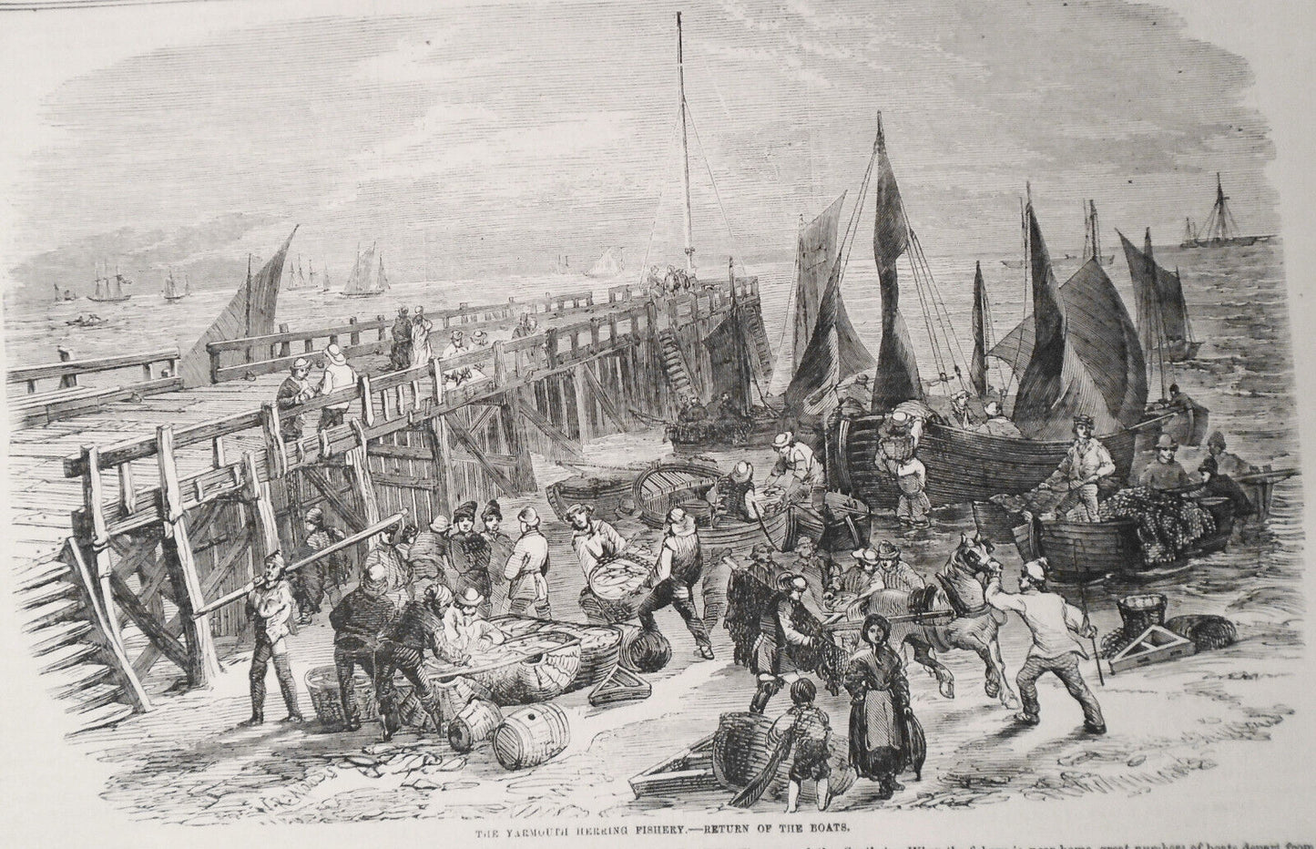 1856 - The Yarmouth Herring Fishery : Return of Boats & Sale of Herrings on Quay