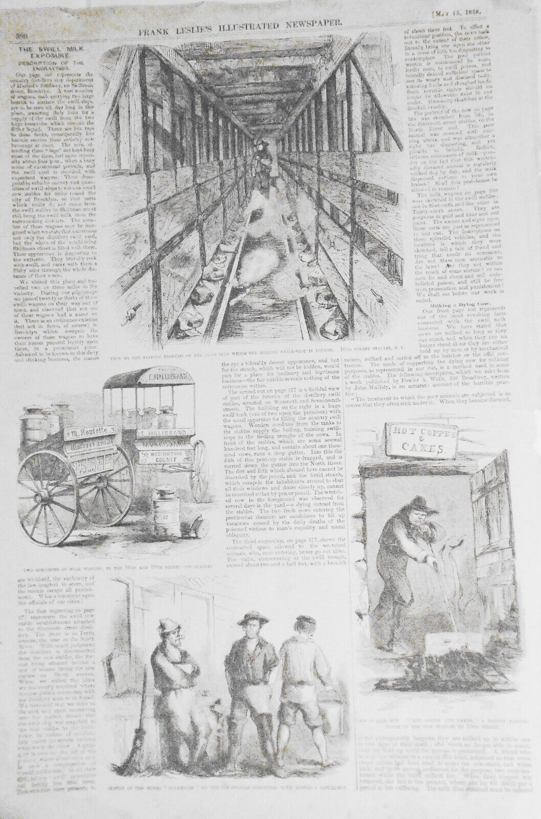 The Swill Milk Exposure -  Frank Leslie's,  May 15, 1858 - Story & 3 Prints