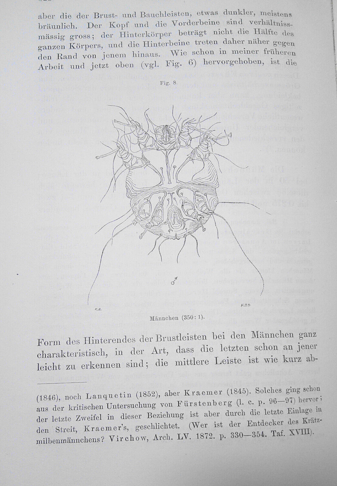 Vierteljahresschrift Fur Dermatologie Und Syphilis. I  Jahrang 1874 Viertes Heft