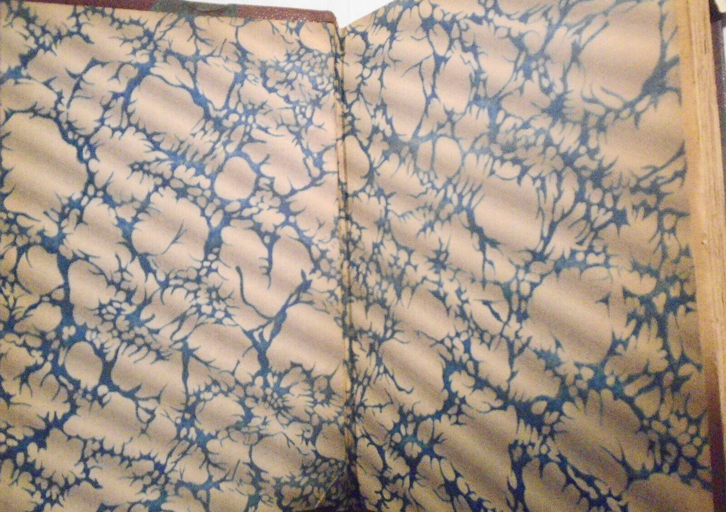 La vie de Disraeli, par Andre Maurois. 1927. Gallimard, Paris.