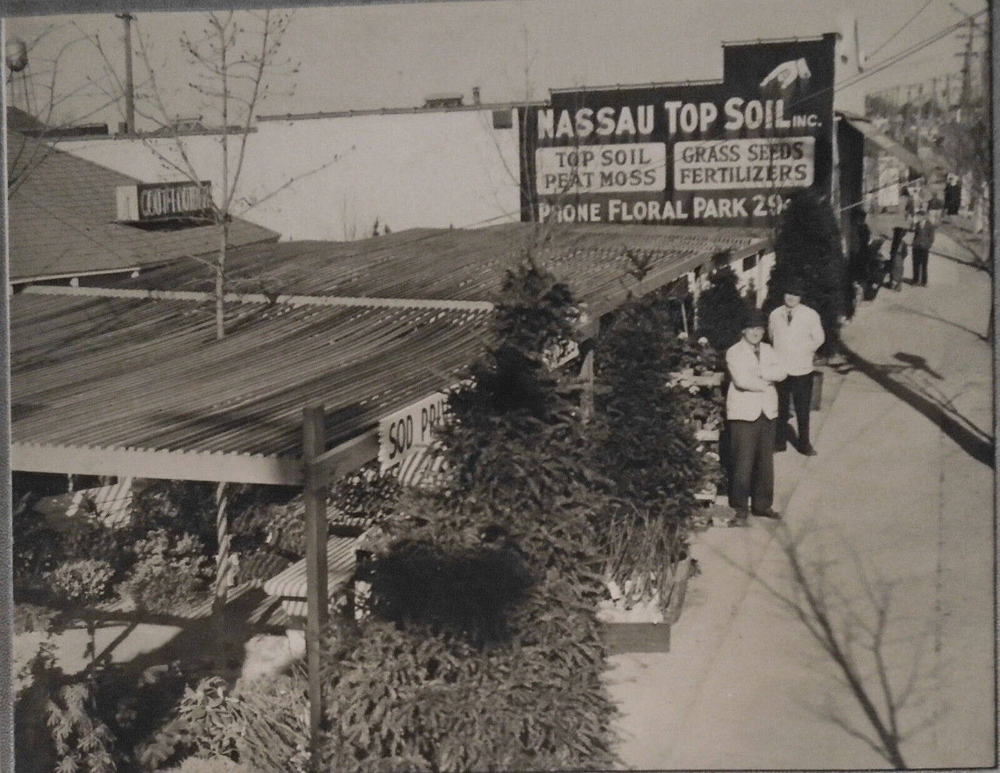 Walter Andersen Nursery at Floral Park, Long Island, New York - ca 1928