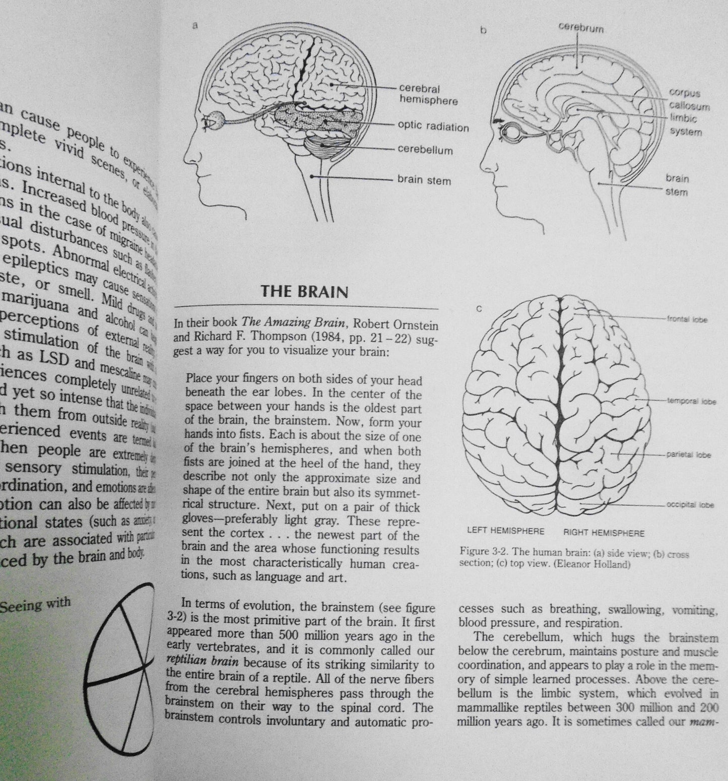 Perception, by Lloyd Kaufman & Principles of Visual Perception, by Bloomer