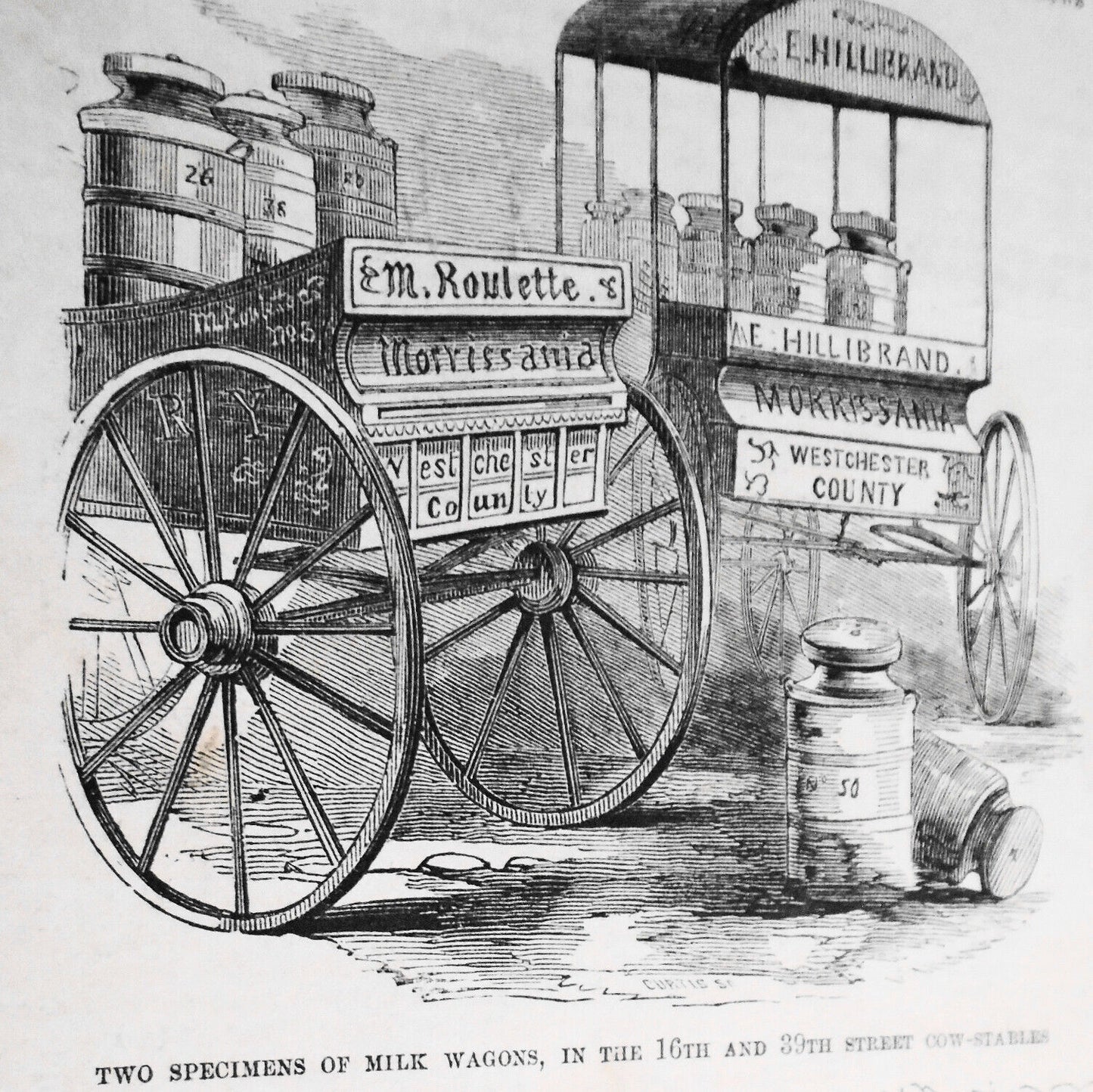 The Swill Milk Exposure -  Frank Leslie's,  May 15, 1858 - Story & 3 Prints