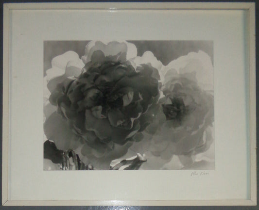 Bo Kass: Peonies - SIGNED original Silver Gelatin photograph, Framed