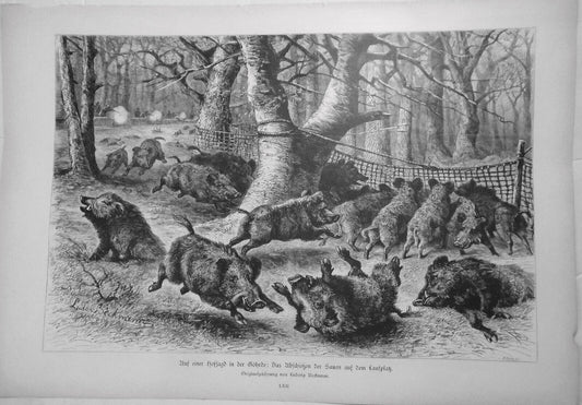 1882 Auf einer Hofjagd in der Göhrde, by Ludwig Beckmann - Original